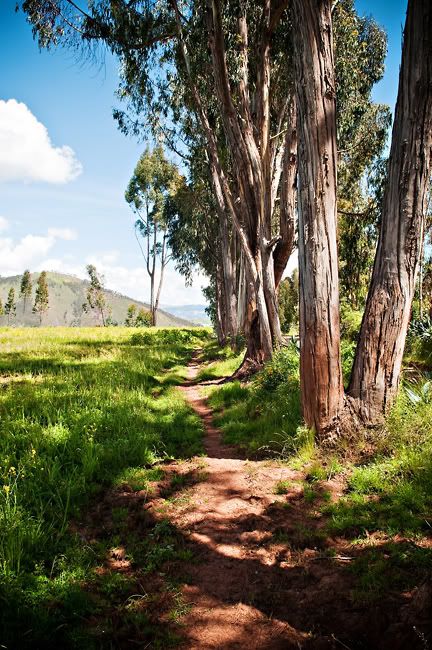 Peru,Cusco,Sacred Valley,Lares Valley,Chinchero