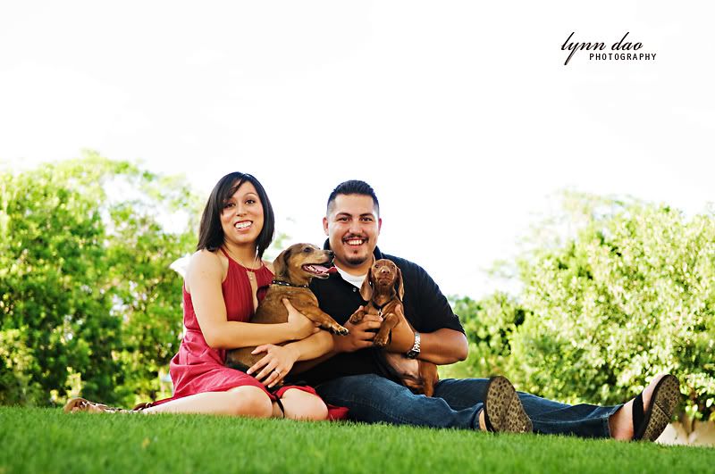 family portraits phoenix,family portraits arizona,pet portraits