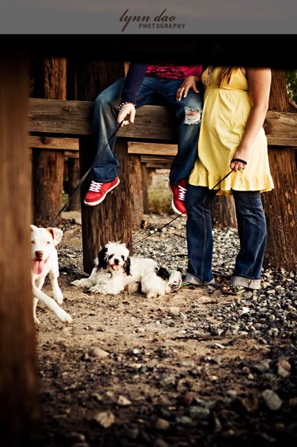 couples session,engagement photos,tempe