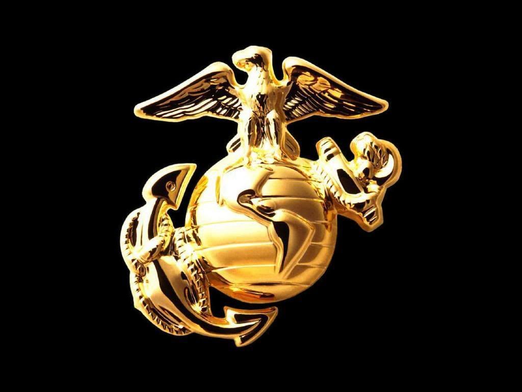 Cool Usmc Pics