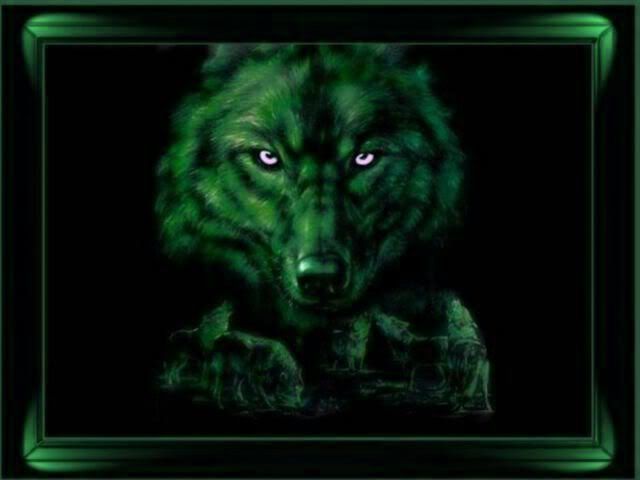 Green Wolf Pictures, Images and Photos