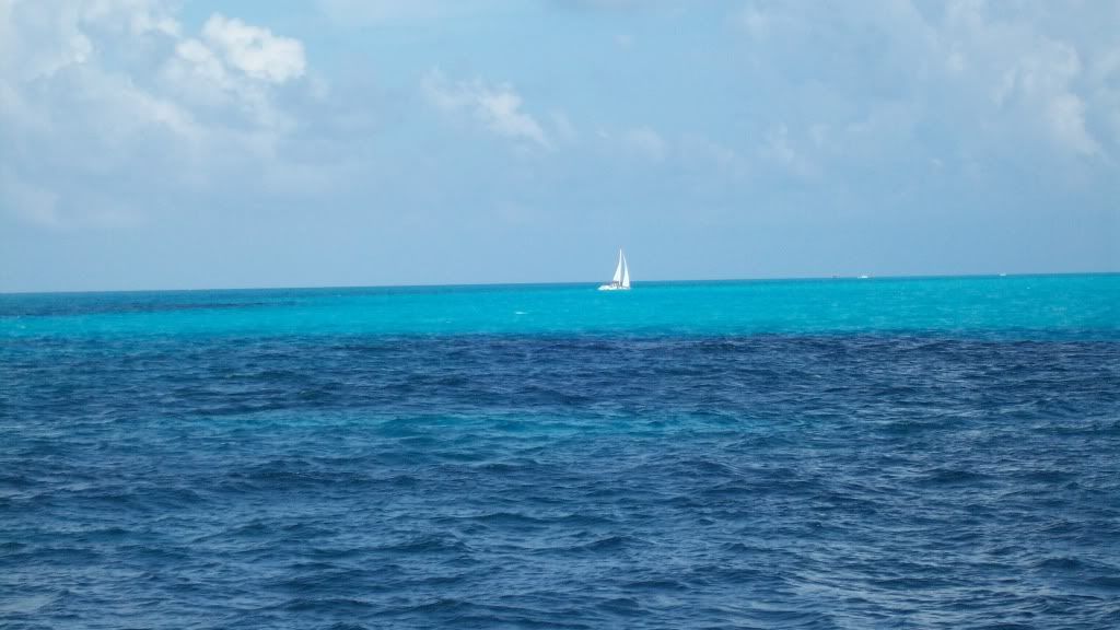 cancun243.jpg Sail boat image by tomkat562