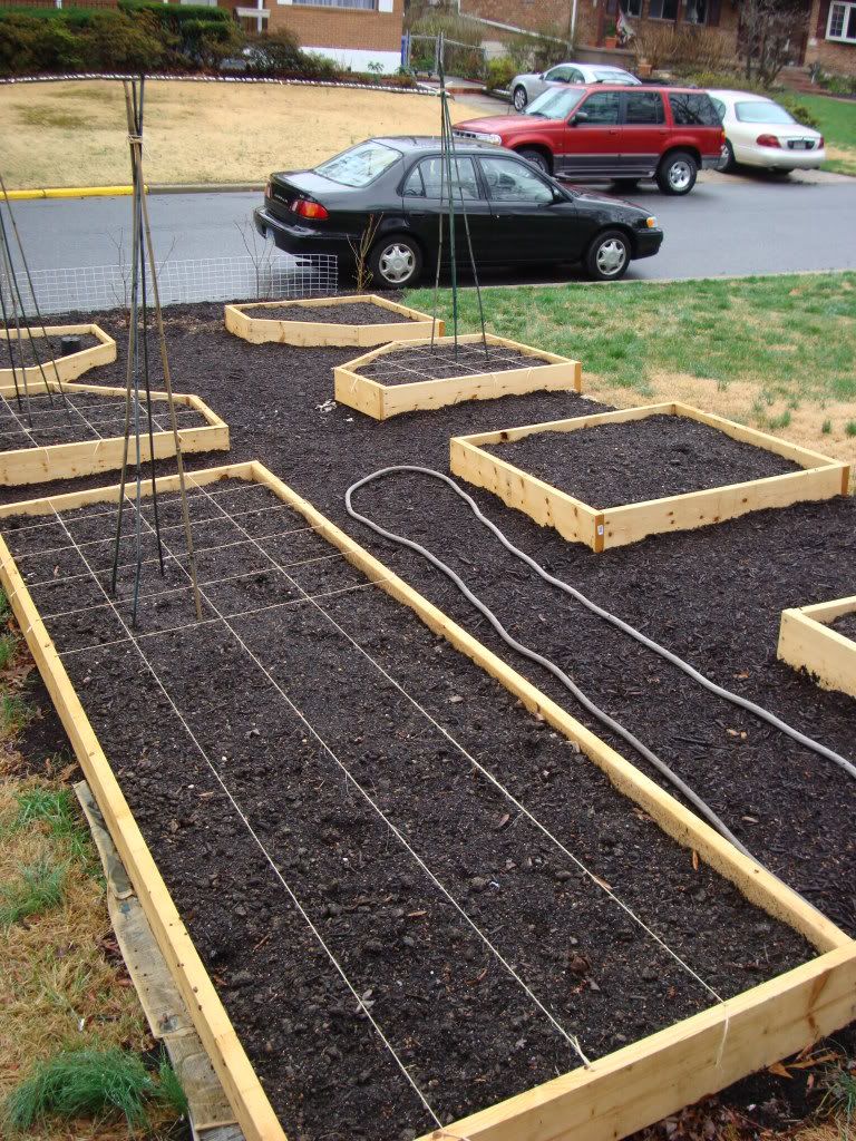 the final potager