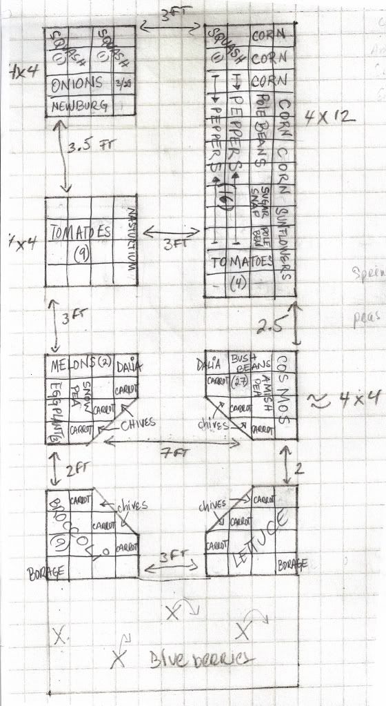 final plan for new potager