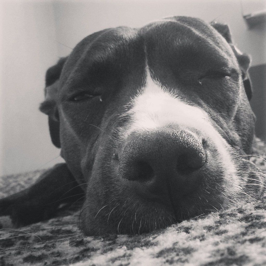 01c900717cd3007880a9ee6ecb92e2663ab4860e