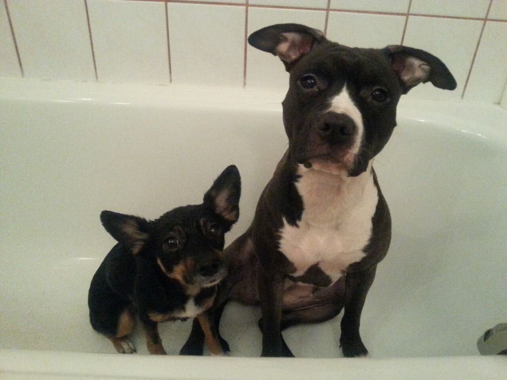 0ac431cf7b5c30309d907b91409fdd6cf74fc0b5