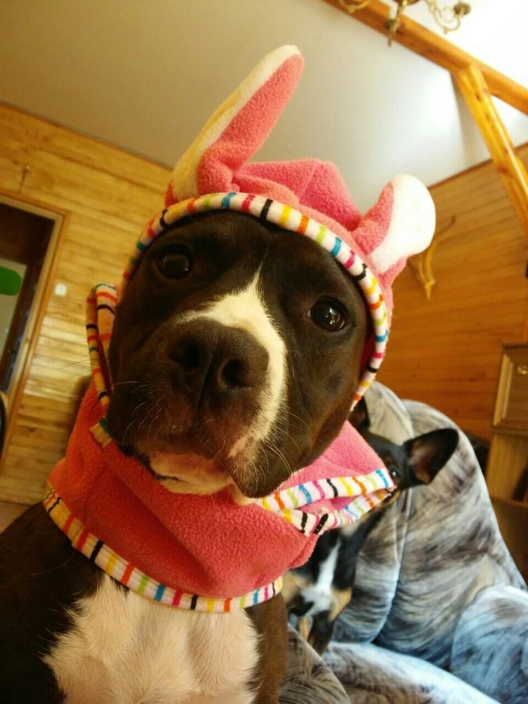 0b992d3f5f5a8f2c71b4c3aa0e5d0d183a66c83c