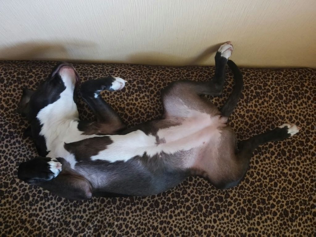 0bd6e9df-3a40-44fe-be47-743511491401_zps