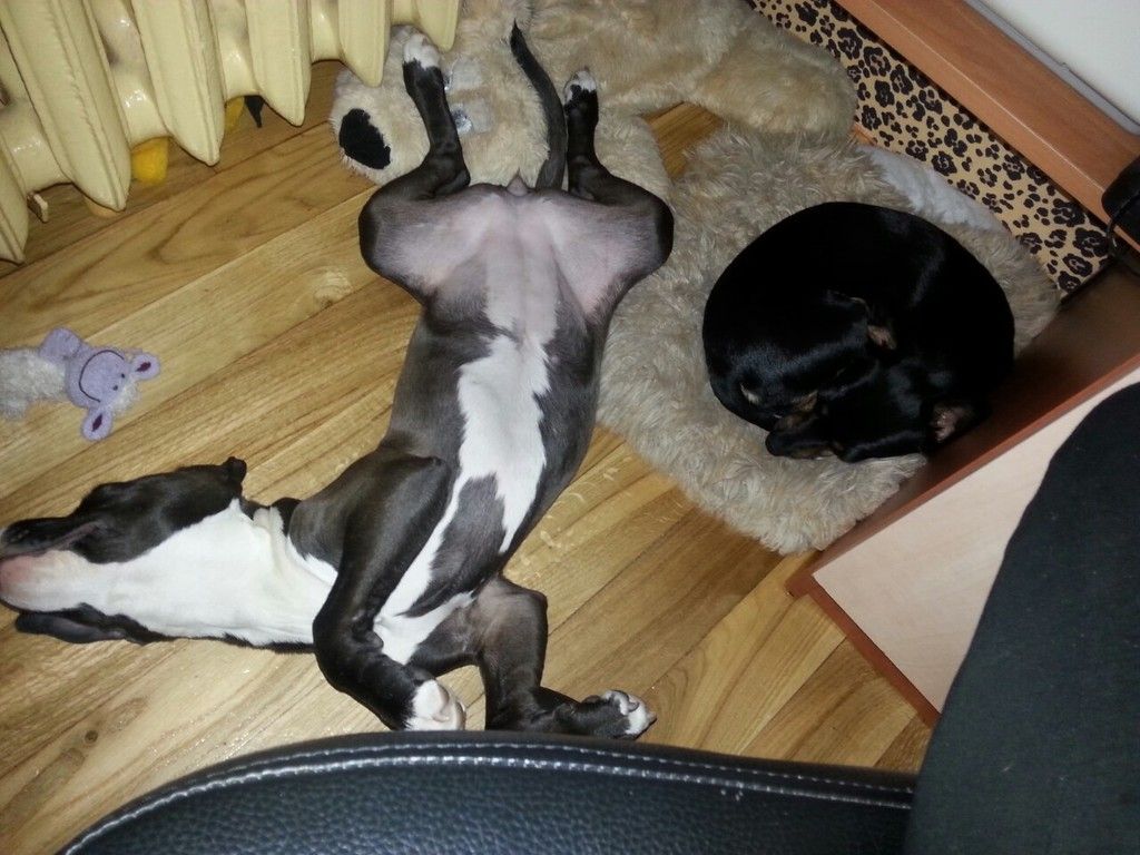 0e8572087453233e60bb862fe2f78f6b8626c3d7