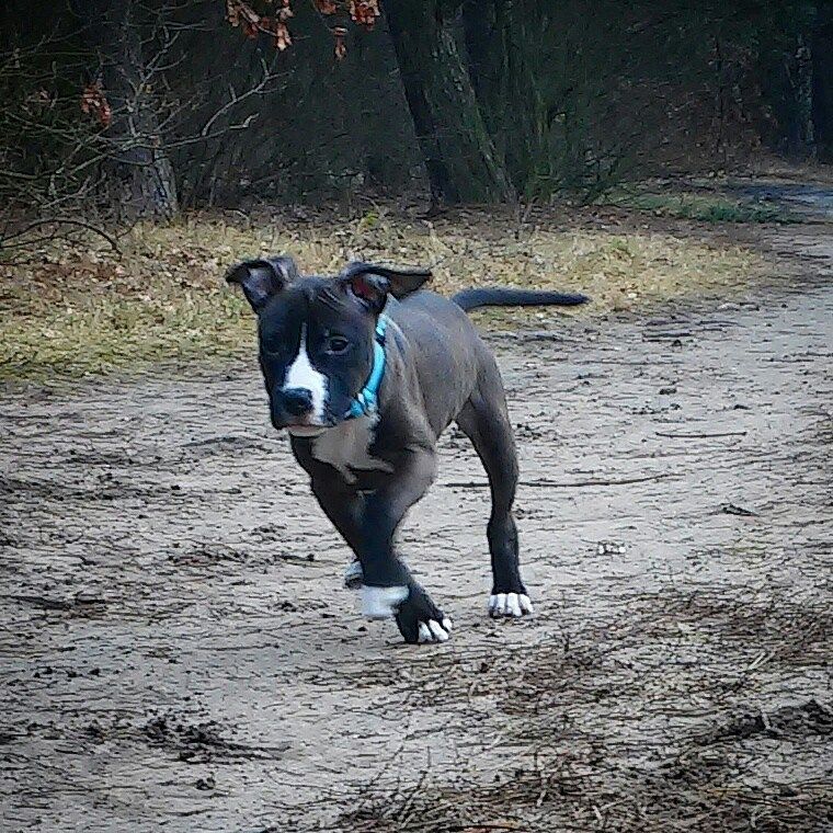 0f2773300203e3d245d732e9338f5d6e1533dda1