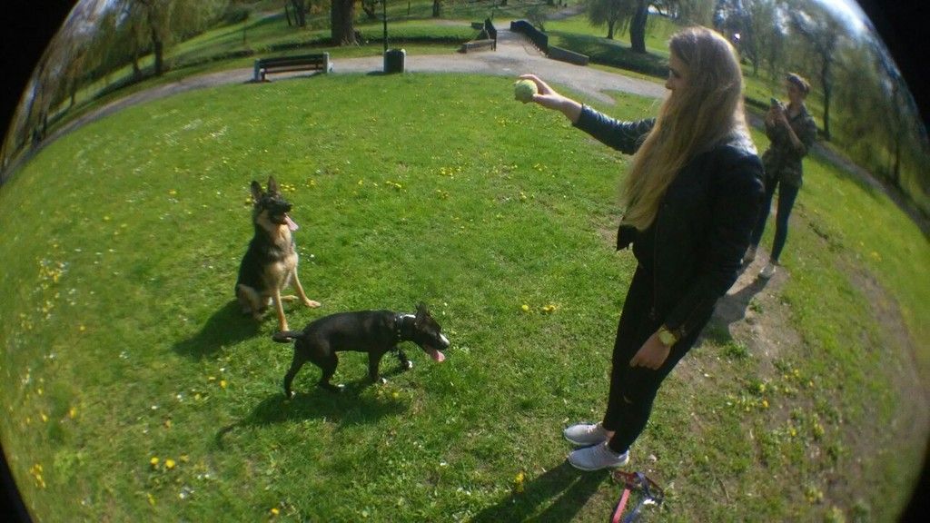 114a86f9819b2768fb2b48e10af47ea31a982c5d