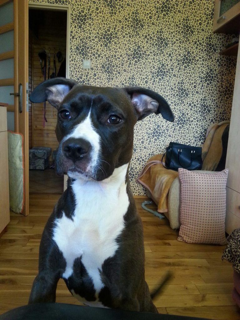 1333bd9c99794046f0d4343ea51a9740e87ab014