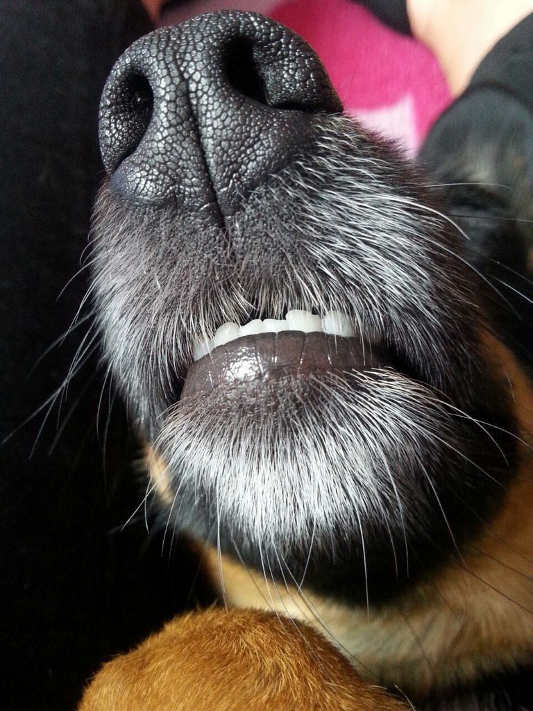 16c31cfee25eaaf6192f63f2cae48c4b9e505076