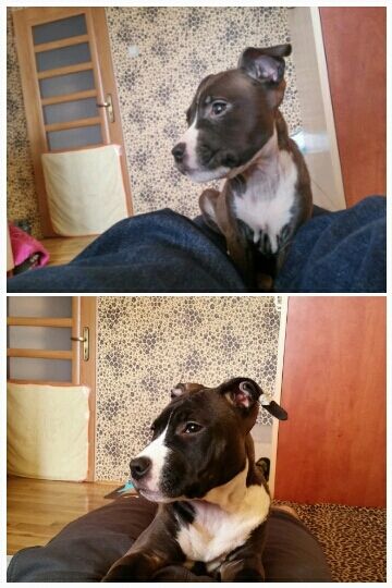 18d90c58141f3c8765814170e560758dce2c077c