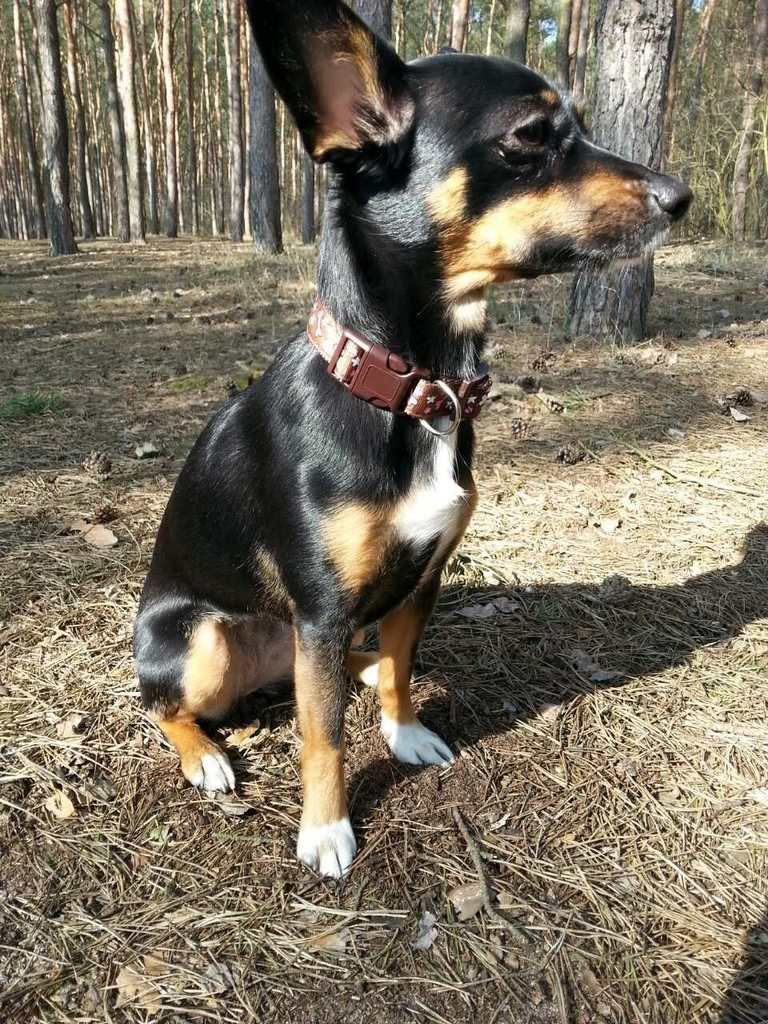 1ad3c1cb0213df984bdd1171c0d2b81cf4075970