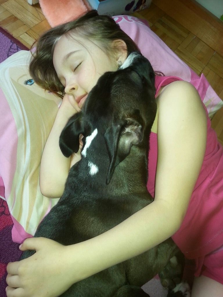 2131def3fbac3ed807bf9e2b37bc0dca82da9abe