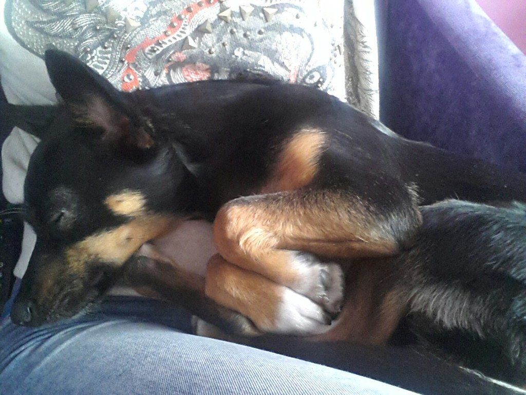 22ac22c4600c798a1306f3251cd34e6d35db9d89