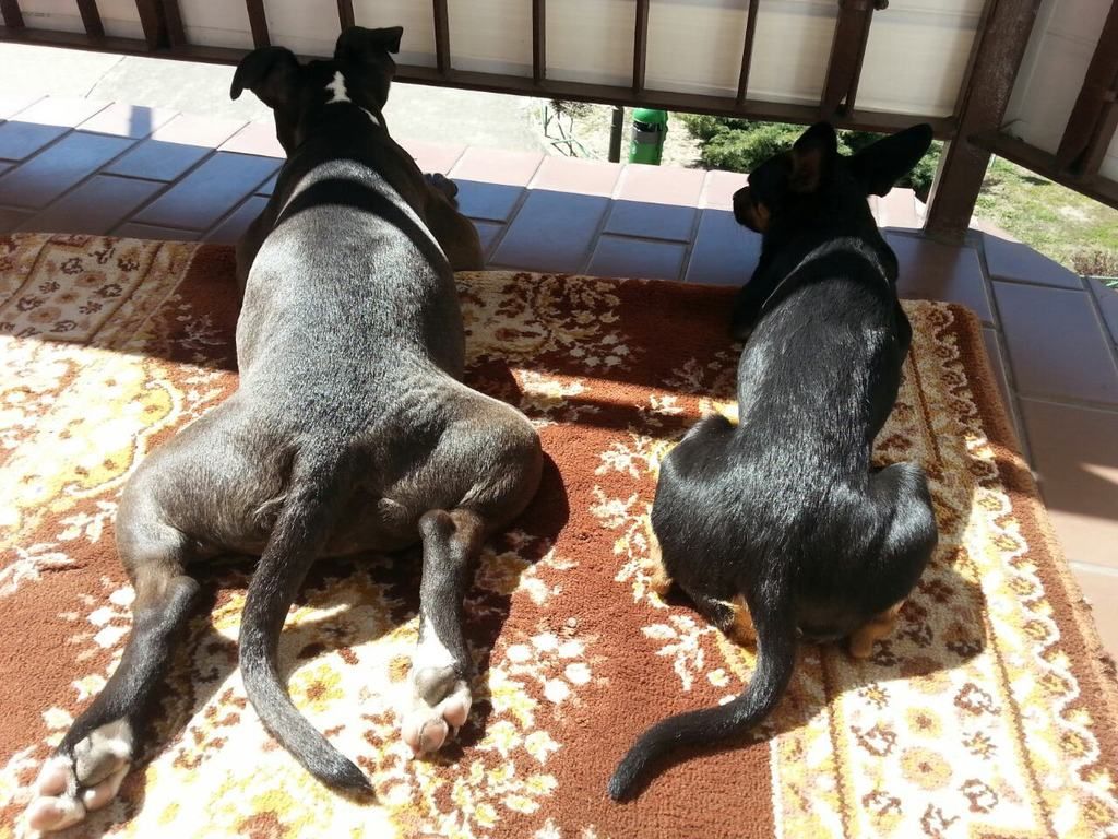 2811e2beaf9aaeb8cab55507a41808c7e0655ba5