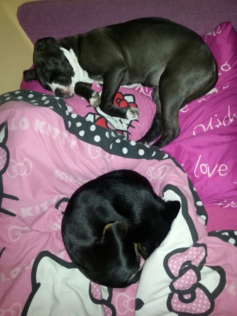 28ca858a2e2b9b46cf9870ff9bf41b558de7b75f