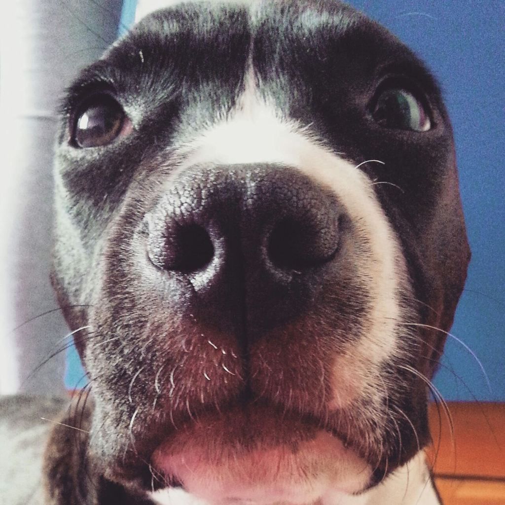 2c412cf1e919c1c3ab3c238670dd058a60d79c5d