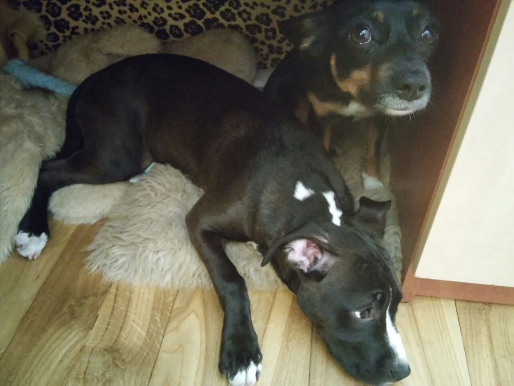 2ff5a9e944b52021e3f2bc60912f4cf63c918986