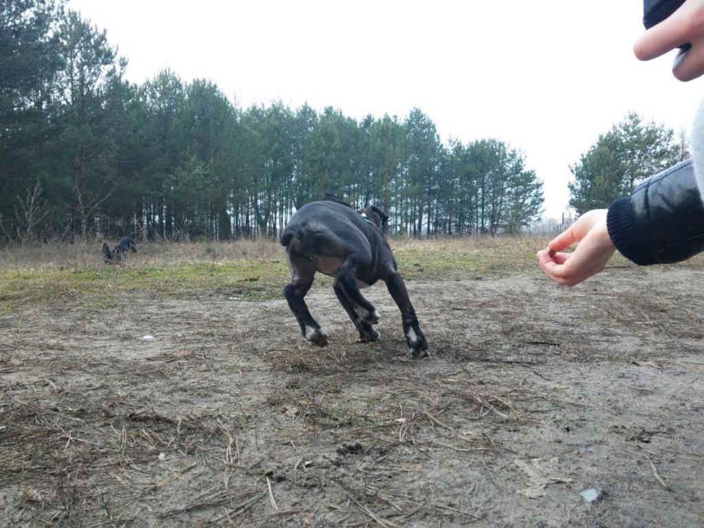 3458d718d9d433d7762648c019a814a49ff0d5b9