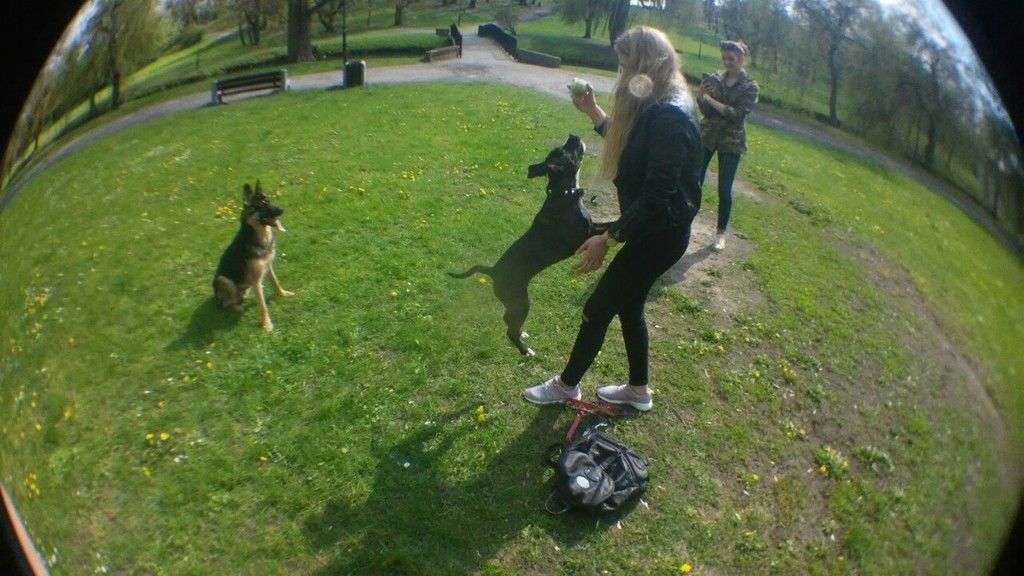 37fd7453d35eb30bbf61bcf02c4f96f5275d94ee