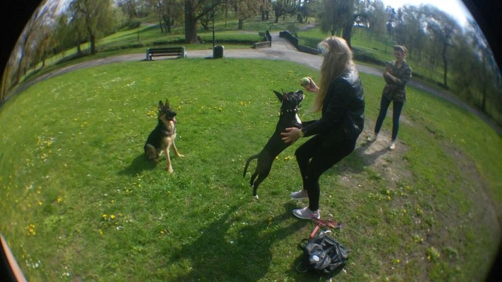 38bb467d7e4930e869d6c10a1eb98ff7c20a068d