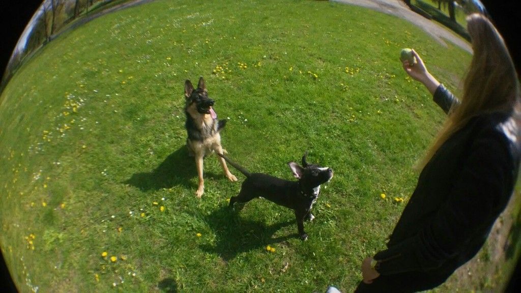 3990134091142859592e772bd6a5bf0b10004999