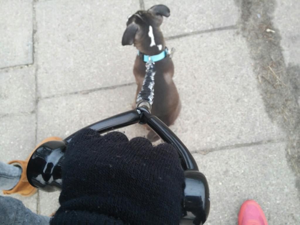 3ae8c3238c27e3c598b5c7e05740f56177493062