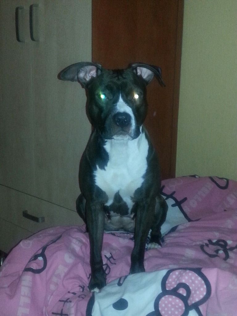 3c0e75ca30a33ec1ff87dbc5a31fedc25629e4ba