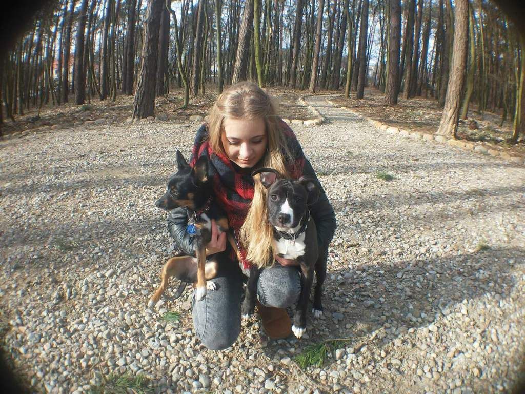 3d487b7272f17b79153f30fd601879c2407ee775