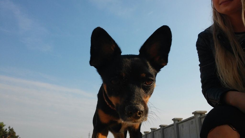 426782f3e515fc1b0efce10422ad9d6434d63038