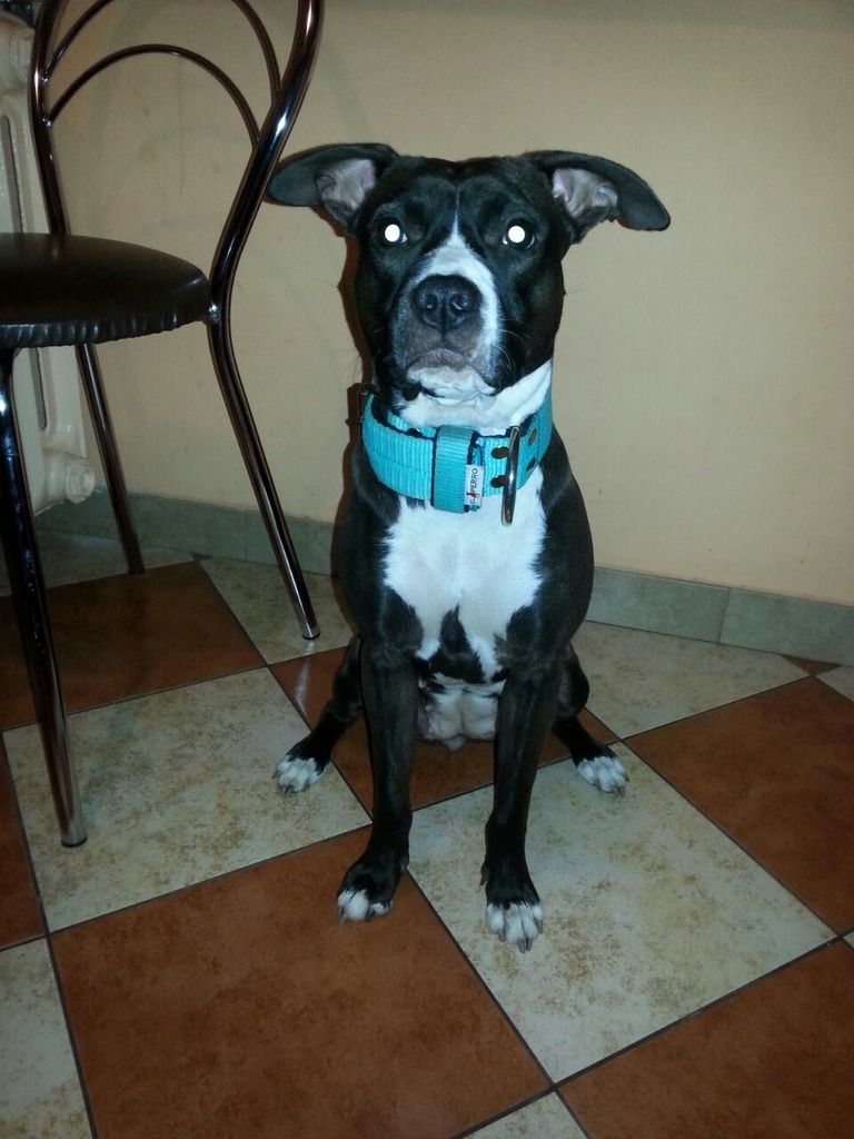 42db94c1d50c05a20841890a76916b99093fbafc