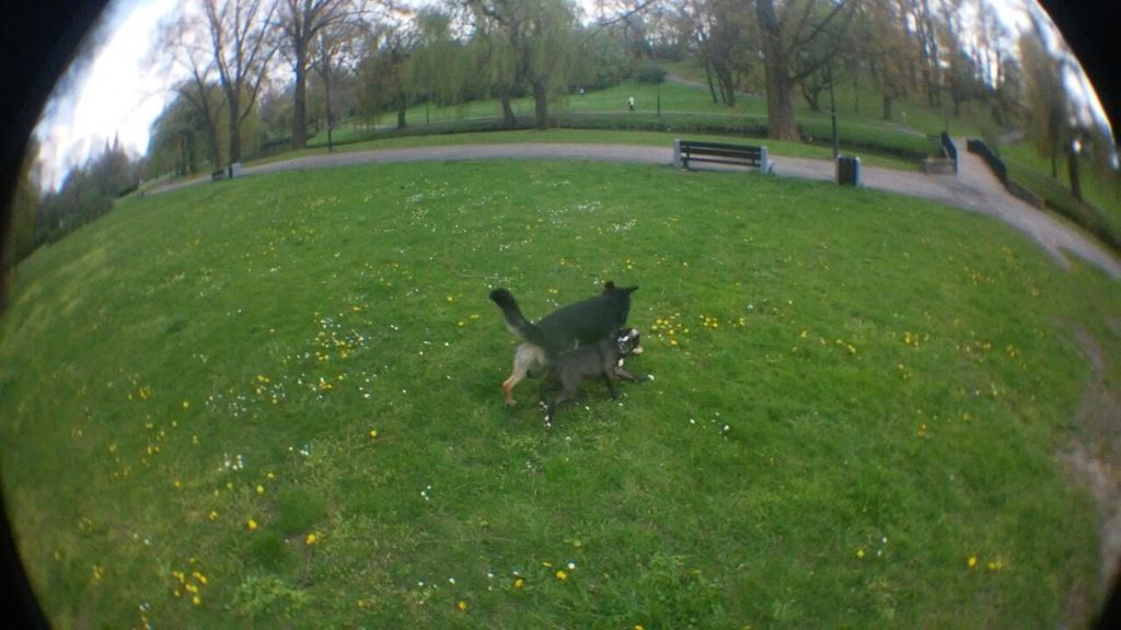 49c38d8e3f01779ac9f1a185ddb5972fe79db59a