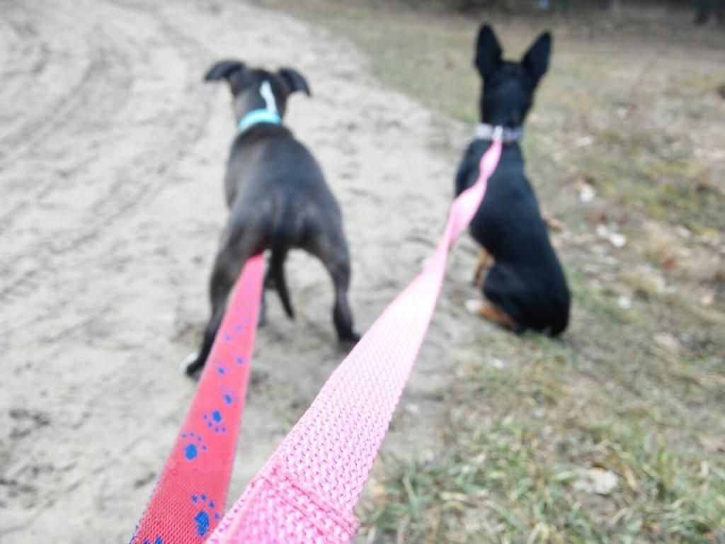 4b8dbec106fc312f9a2de55f84a682e6979bfa08