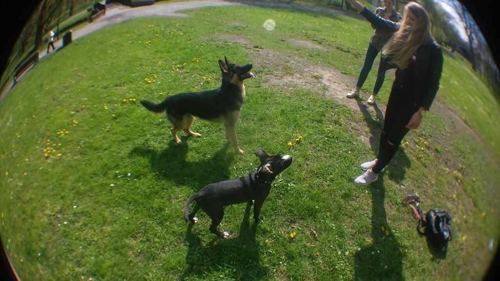 4e34901272b5646453075daddcff44e804bc3313