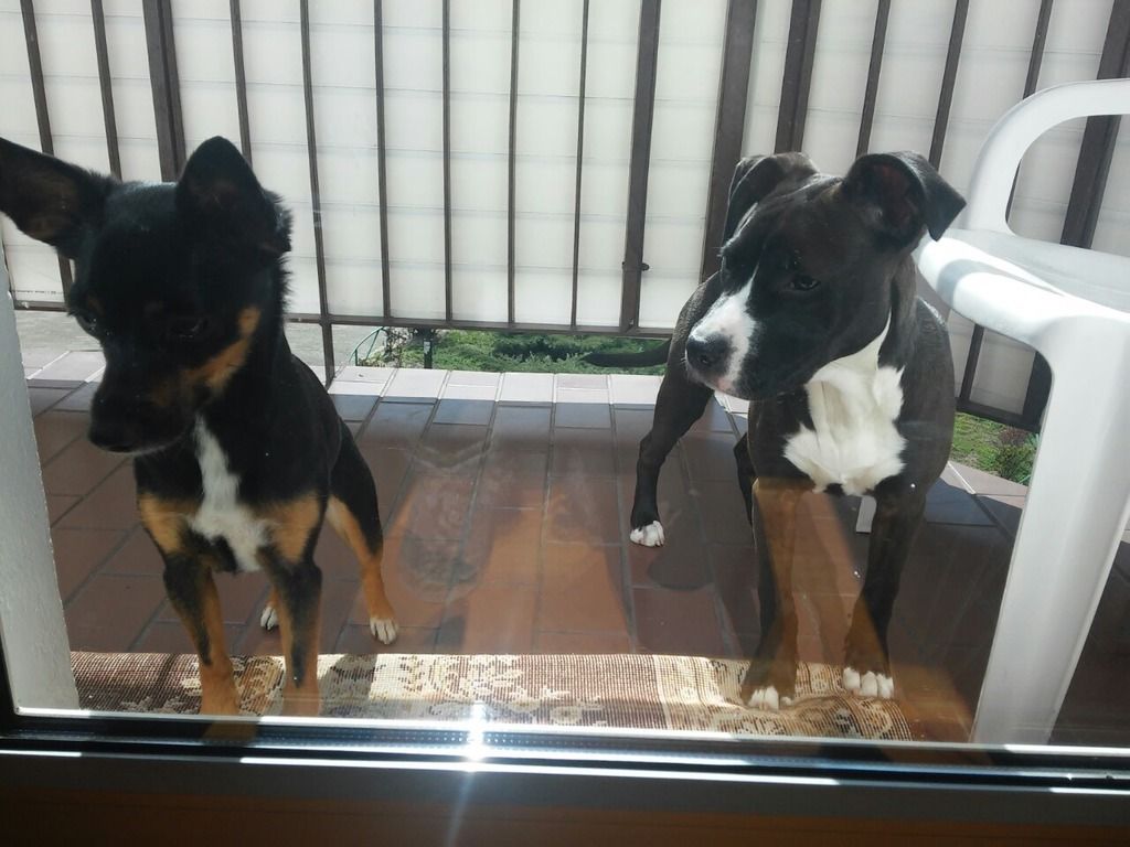 4f9c00c599ce0586e9d78650f114811fb04da6d6