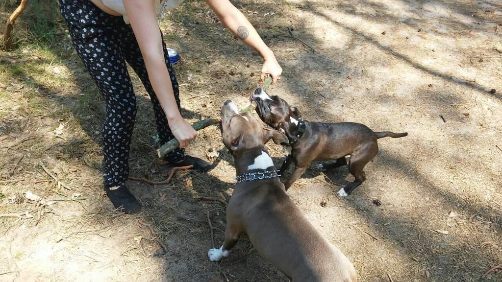 597dba07f6442e689fc7a50ad3c46673290c2d98