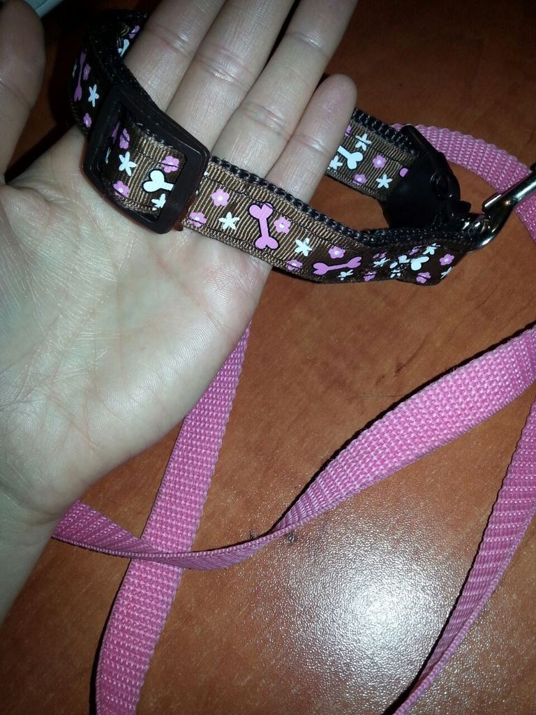 599f6623b1f28e77f27f514a0c3bce7cd17f49b6