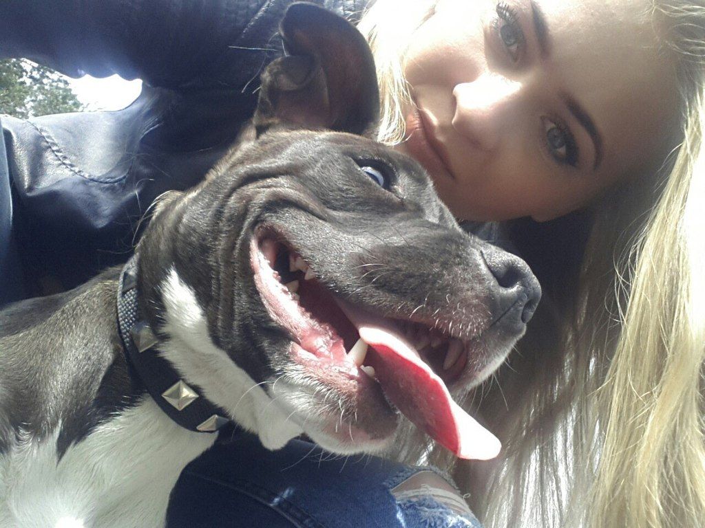 62a18cf87ec940f31ee62ac187afd6df988ebdd3