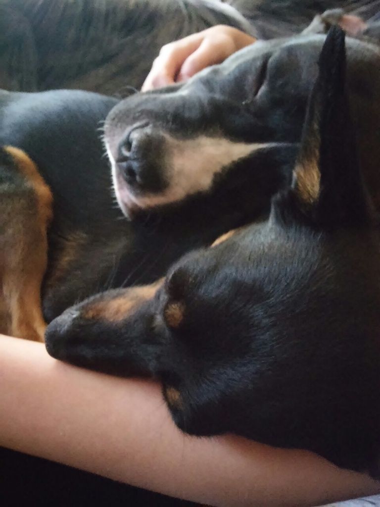 64b008bfd08bd0f0e936f02dfe490dddb9fde6f2