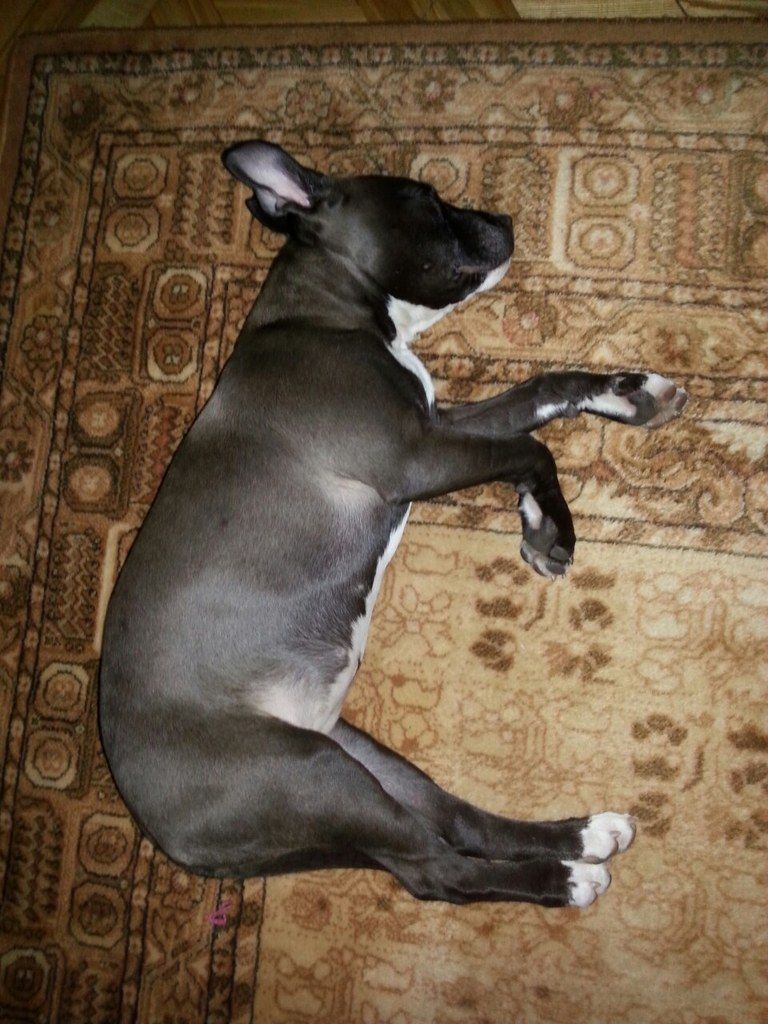 698141a08a940fa8f6a82222995e73e94703801a