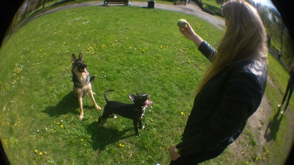 6bebf0d235f76c7cfae1259790621c03c569db48