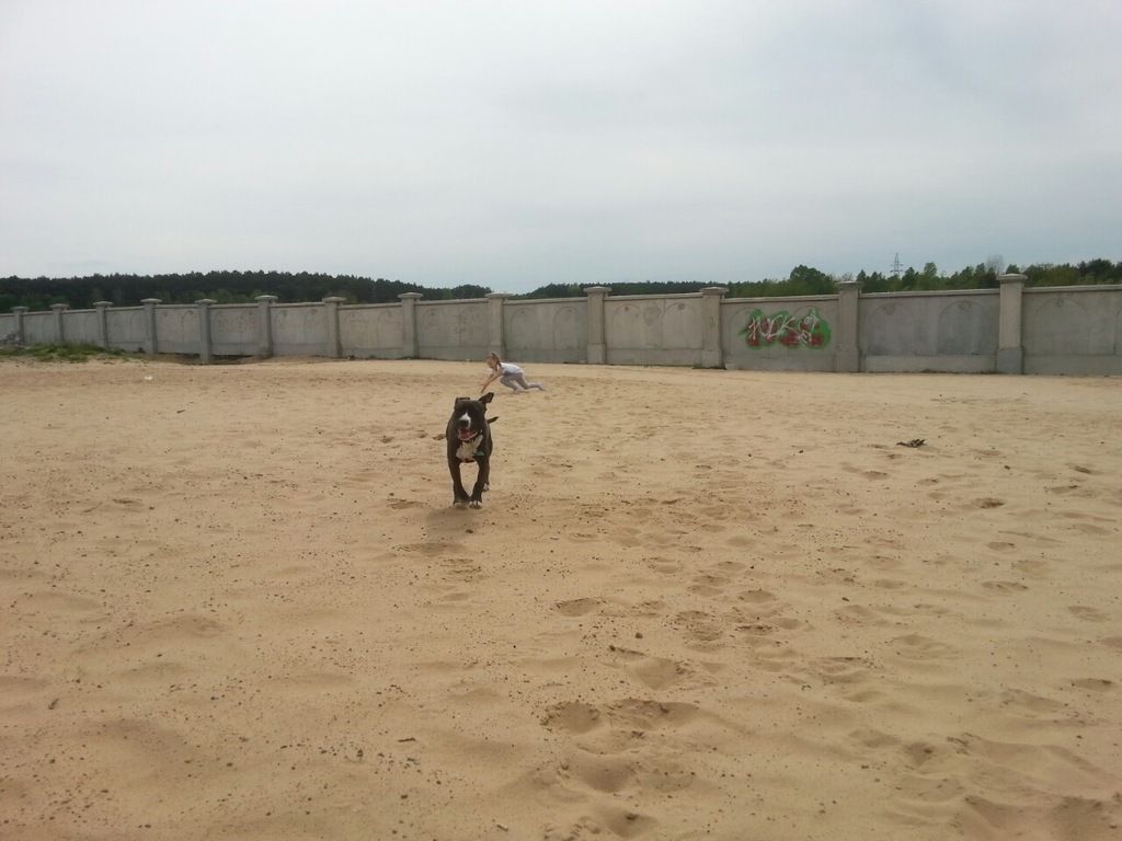 7027b58cb39df586ddcc0aa0801b3c48b1354e51