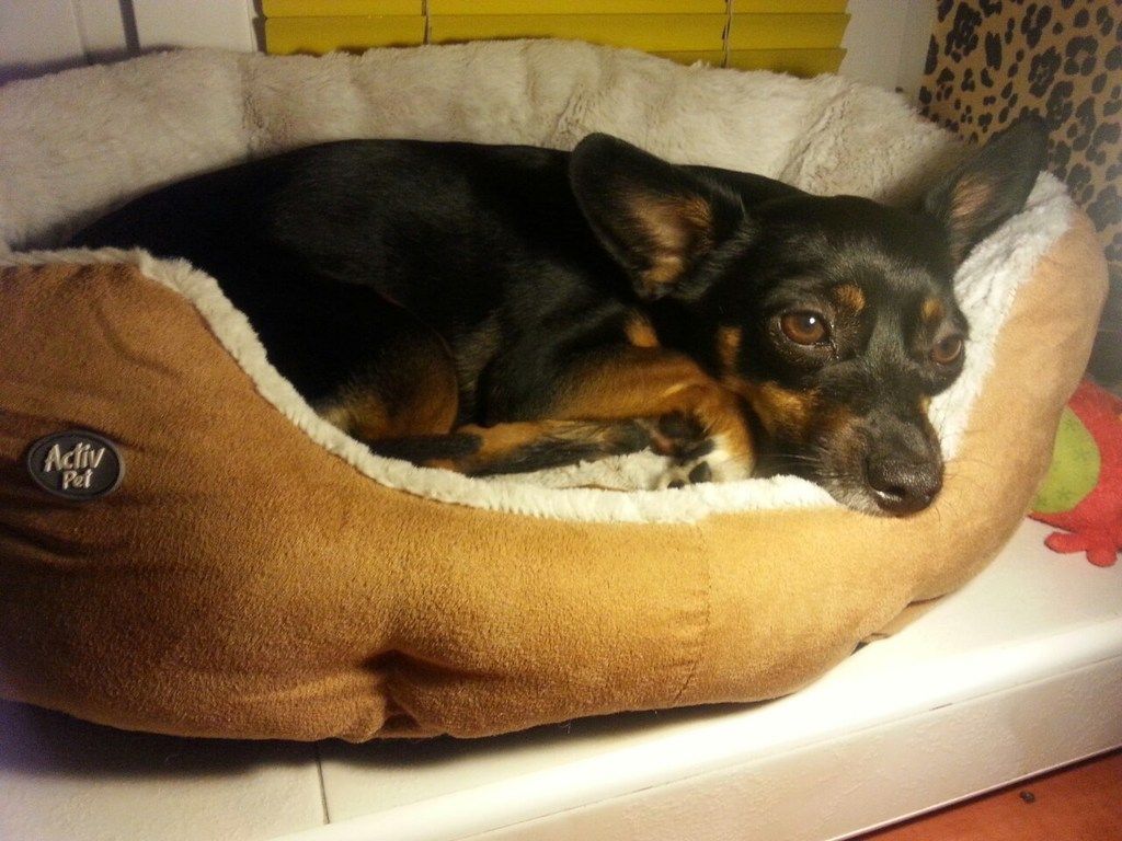 703828563fb76c5b4a808b74cdd1996234ac85ab