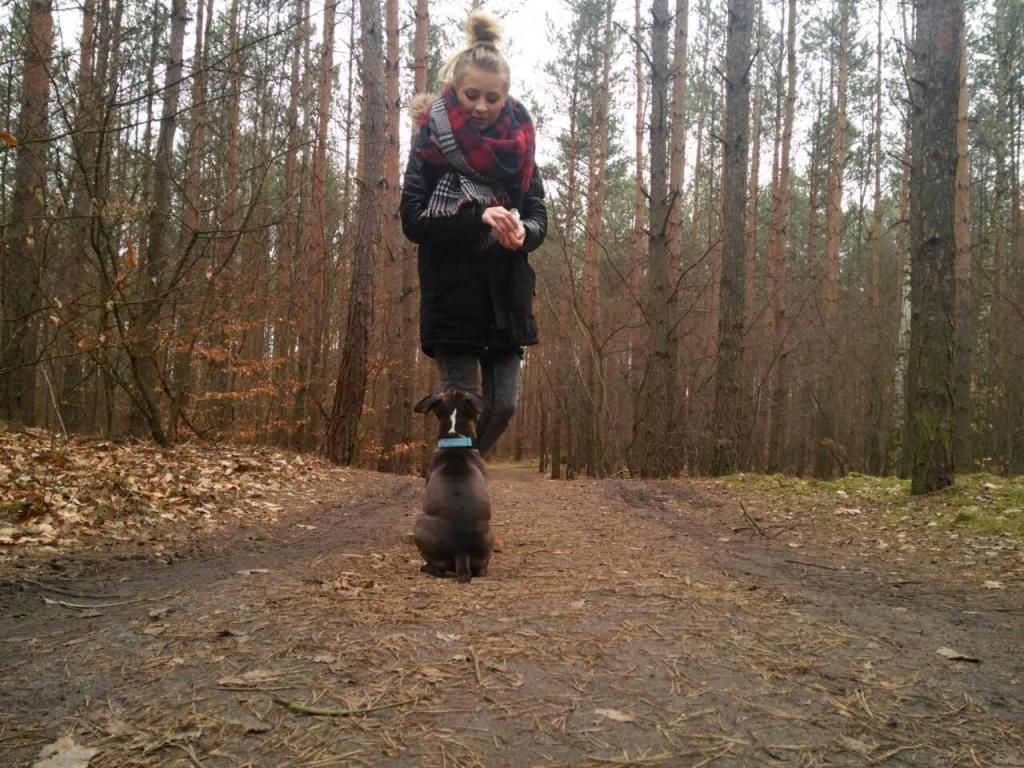 727794748986f36c2e8438b4d09c88201bce5fe3