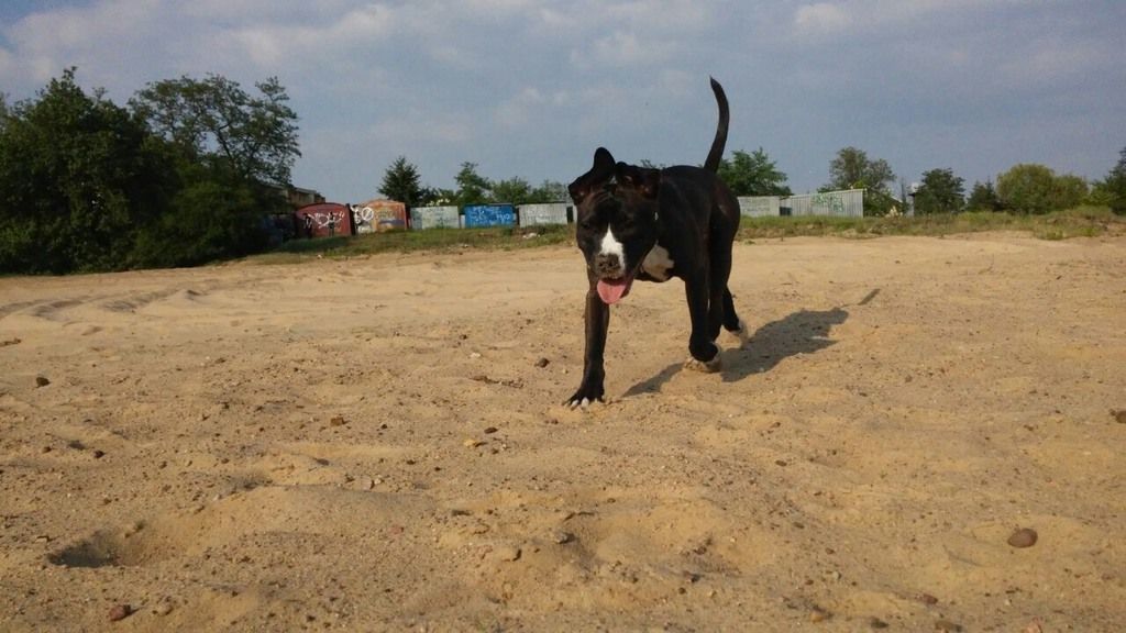 7316c0b3cdb4b16ad5d579f7fda24131e85a7f13