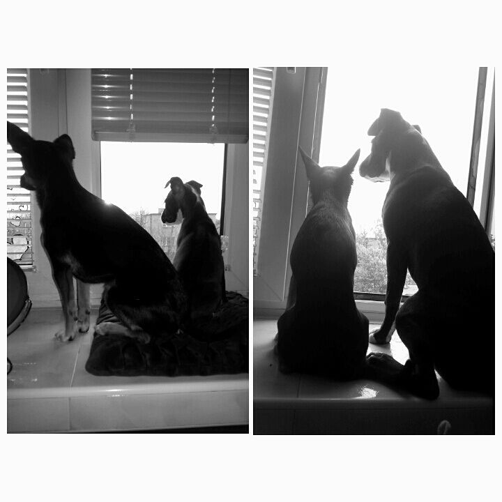 743601818380319677745405e31e2d005b6ebfa4