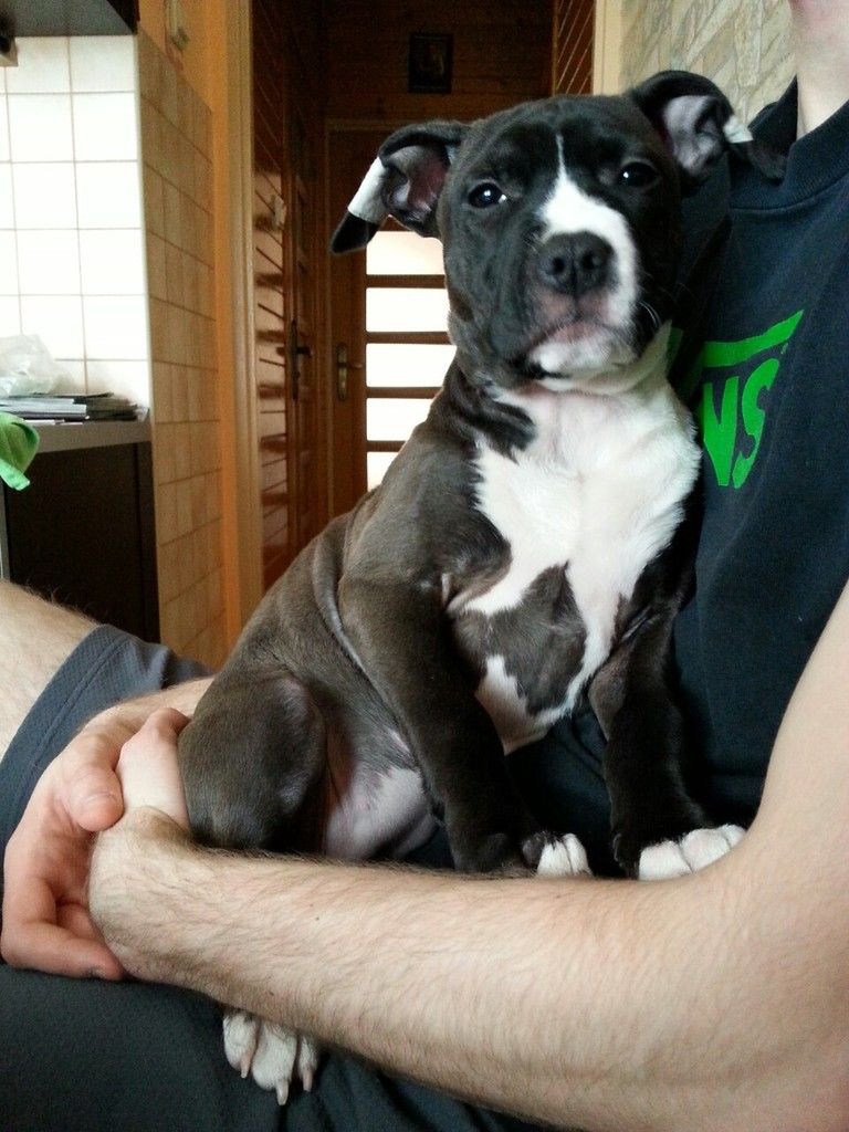 7f269900d5457cf17b262d0935584dbe12122d01